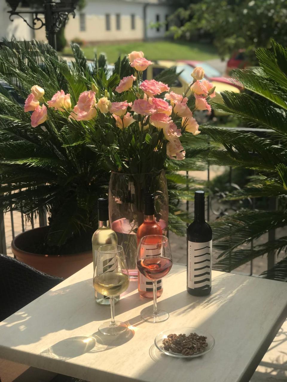 Hotel Dolce Vita バラトンケネシェ エクステリア 写真